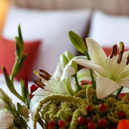 Einklang - Dein Am Suedhorn מלון