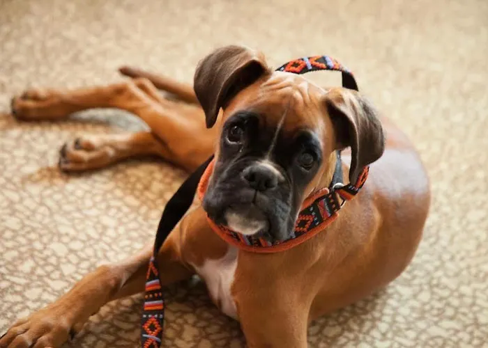 Einklang - Dein Am Suedhorn فندق 3*